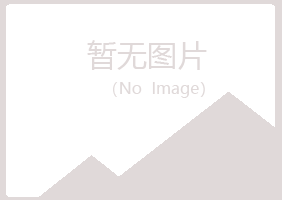 城区白山培训有限公司